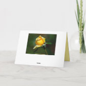 Carte Pensée à vous bourgeon de rose jaune (Dos)