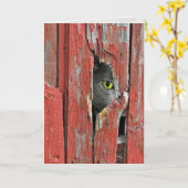 Carte Pensée à vous chat (Fleur jaune)