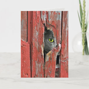 Carte Pensée à vous chat