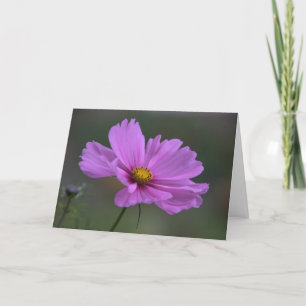 Carte Pensée à vous - fleur de cosmos