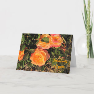 Carte Pensée à vous : Roses de corail