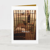 Carte Pensée à vous toujours (Devant)