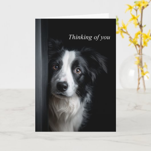 Carte Pensée pour vous Border Collie (Fleur jaune)