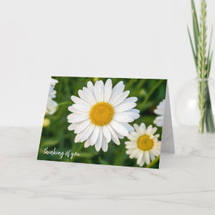 Carte pensée pour vous marguerite blanche