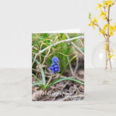 Carte Pensée pour Vous - Muscari solitaire (Fleur jaune)