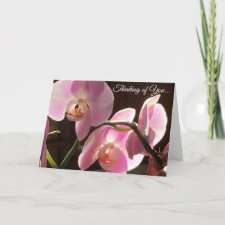 Carte pensée pour vous orchidée rose vierge à l'in