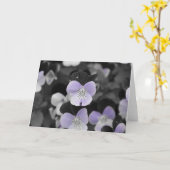 Carte Pensées / Couleur isolée (Fleur jaune)
