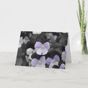 Carte Pensées / Couleur isolée