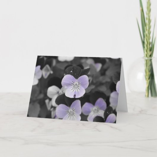 Carte Pensées / Couleur isolée (Devant)