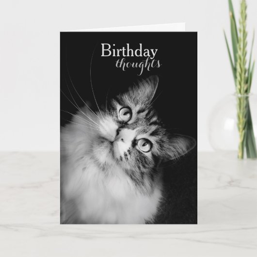 Carte Pensées d'anniversaire du point de vue d'un chat ( (Devant)