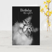 Carte Pensées d'anniversaire du point de vue d'un chat ( (Fleur jaune)