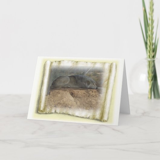 Carte Pensées de loup (Devant)