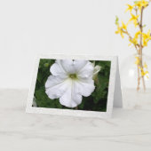 Carte Pensées de vous Petunia (Fleur jaune)