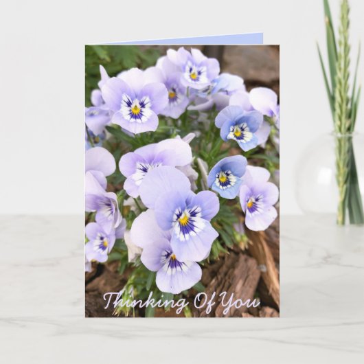 Carte Pensées pour vous Photo de pensées violettes paste (Devant)