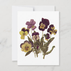 Carte Pensées Vintage en Fleurs, Fleurs de Jardin Floral