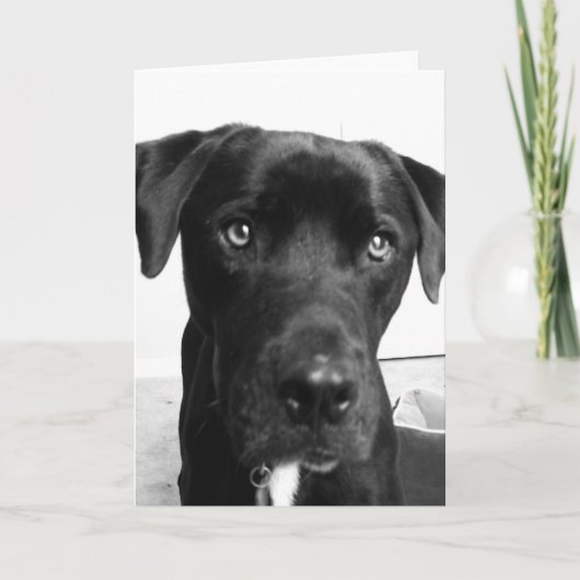 Carte Penser à toi (Devant)