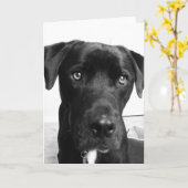 Carte Penser à toi (Fleur jaune)