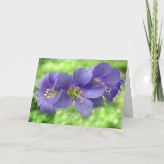 Carte Penser à toi (Devant)