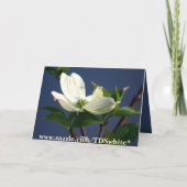 Carte Penser à toi (Dos)