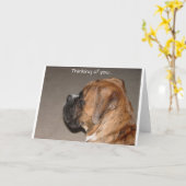 Carte Penser à toi Boxer (Fleur jaune)