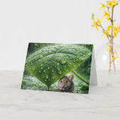 Carte Penser à votre souris sous une feuille humide (Fleur jaune)