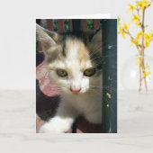 Carte Penser À Vous (Fleur jaune)