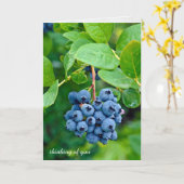 Carte penser à vous-bleuets sur bush (Fleur jaune)