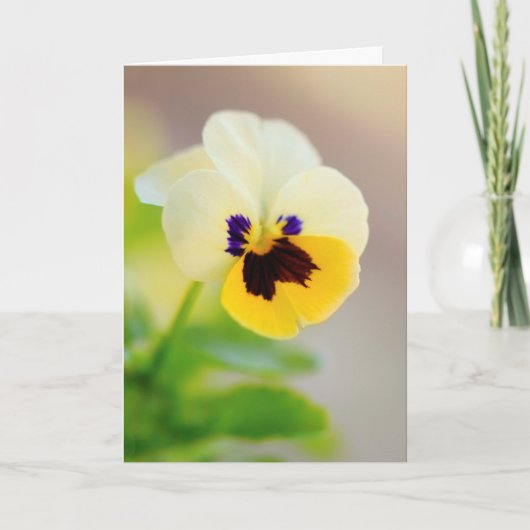 Carte Penser À Vous Cancer Support (Devant)