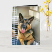 Carte Penser à vous cardent (Fleur jaune)