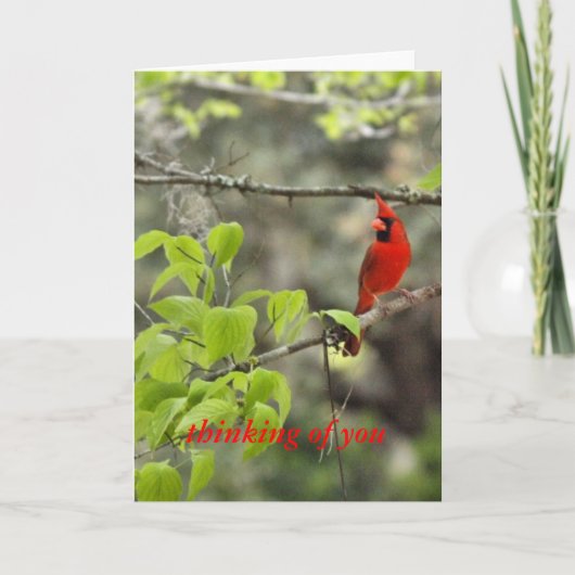 Carte penser à vous/ cardinal (Devant)