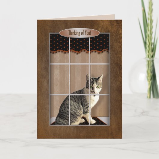 Carte Penser à vous - Chat regarder par la fenêtre (Devant)