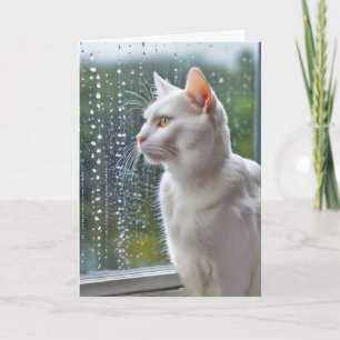 Carte Penser à vous Chat regarder par la fenêtre pluvieu