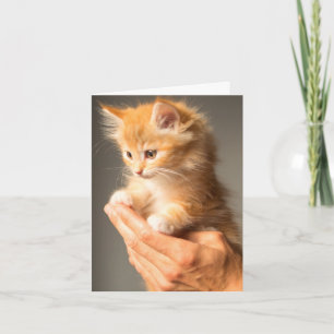 Carte Penser À Vous Chaud Amoureux des chats Kitten Fuzz