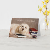 Carte PENSER À VOUS - Chien Studieux dans les lunettes d (Fleur jaune)