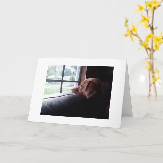 CARTE PENSER À VOUS ET VOUS MANQUER TROP SAD PUPPY DIT (Fleur jaune)