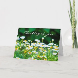 Carte Penser à vous Fleurs blanches Sympathie moderne