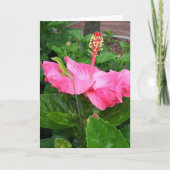 Carte Penser à vous Hibiscus rose Tropical Lizard (Devant)