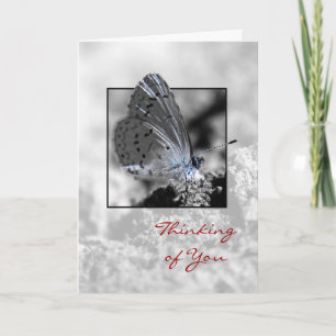 Carte Penser à vous Holly Blue Butterfly Greeting Card