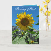 Carte Penser à vous la photographie tournesol (Fleur jaune)