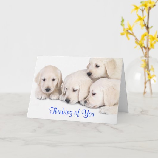 Carte Penser à vous Labrador Retriever Puppies Card (Fleur jaune)