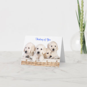 Carte Penser à vous Labrador Retriever Puppies Card