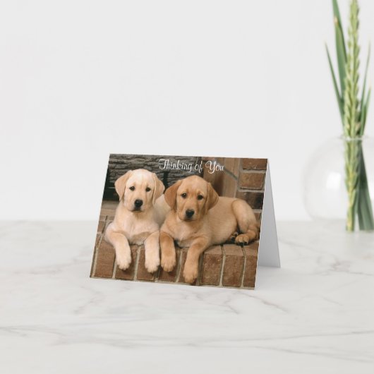 Carte Penser à vous Labrador Retriever Puppies Card (Devant)