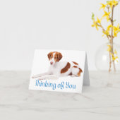 Carte Penser À Vous, Le Chien À Chien À Chien Espagnol (Fleur jaune)