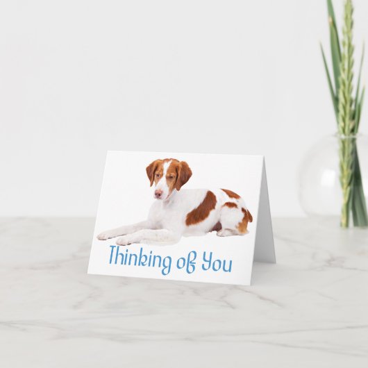 Carte Penser À Vous, Le Chien À Chien À Chien Espagnol (Devant)