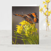 Carte Penser à vous le papillon Tortoiseshell de Milbert (Fleur jaune)