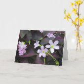 Carte Penser à vous les fleurs de Shamrock violet photo (Fleur jaune)