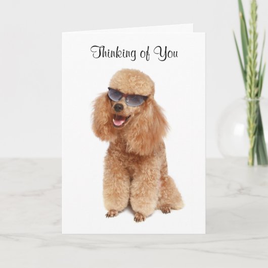 Carte Penser à vous Poodle Greeting Card - Verse (Devant)