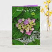 Carte Penser à vous Prouple et Pink Flower (Fleur jaune)