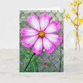 Carte Penser à vous rose et blanc Cosmos Flower (Fleur jaune)