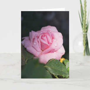 Carte Penser à vous - Rose rose